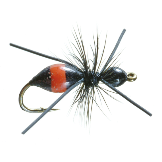 Umpqua Attract-Ant Black/Red - #16 i gruppen Fiskedrag / Flugor / Torrflugor hos Fishline (NFD9861-16)