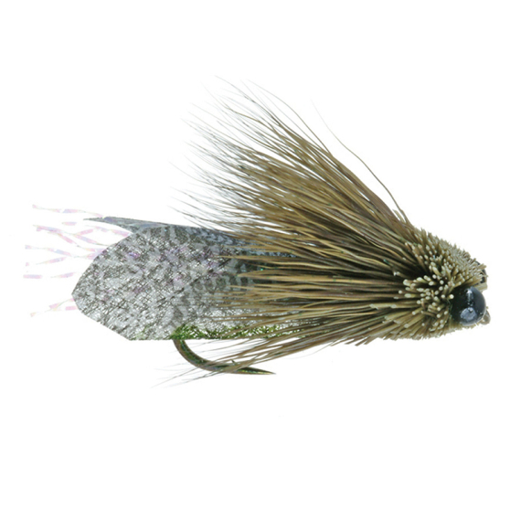 Umpqua Clark\'s Cicada Olive - #10 i gruppen Fiskedrag / Flugor / Torrflugor hos Fishline (NFD9865-10)