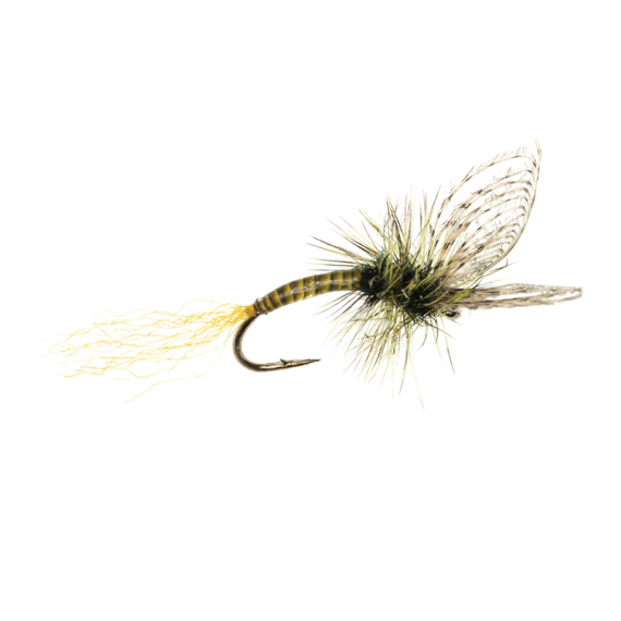 Umpqua Maldos PMD Emerger Maldonado i gruppen Fiskedrag / Flugor / Torrflugor hos Fishline (NFD9870-16r)