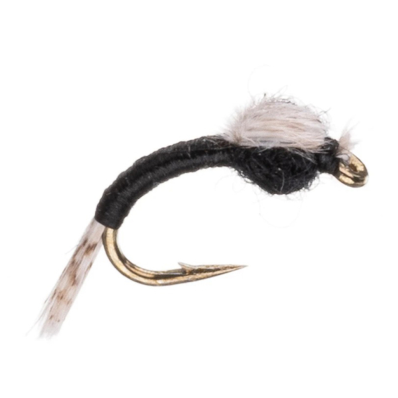 Umpqua WD 40 Black i gruppen Fiskemetoder / Flugfiske hos Fishline (NFD9877-Black18r)