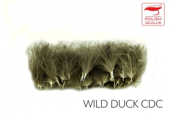 Polish Quill Wild Duck CDC i gruppen Krok & Småplock / Flugbindning / Flugbindningsmaterial / Fjädrar & Nackar / Övriga Fjädrar hos Fishline (PQ-WDCDC)