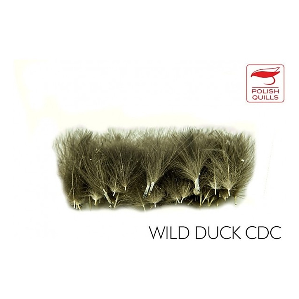 Polish Quill Wild Duck CDC i gruppen Krok & Småplock / Flugbindning / Flugbindningsmaterial / Fjädrar & Nackar / Övriga Fjädrar hos Fishline (PQ-WDCDC)