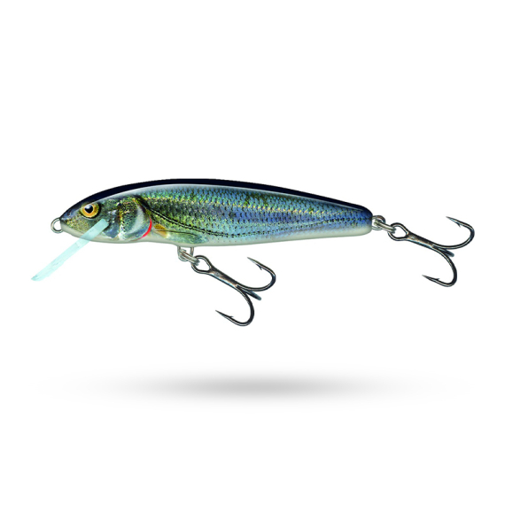 Salmo Minnow Floating i gruppen Superdeals-se / Paketpris hos Fishline (QMW002r)