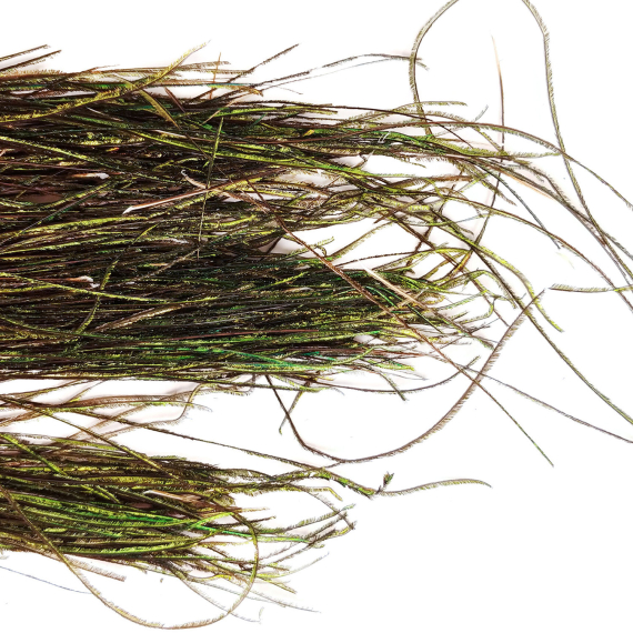 Påfågel - herl i gruppen Krok & Småplock / Flugbindning / Flugbindningsmaterial / Fjädrar & Nackar / Hackel hos Fishline (V5170)