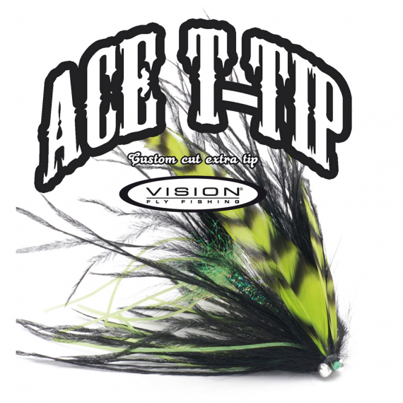 Vision ACE tip 10ft i gruppen Fiskelinor / Flugfiskelinor / Spetsar hos Fishline (VSKT10r)