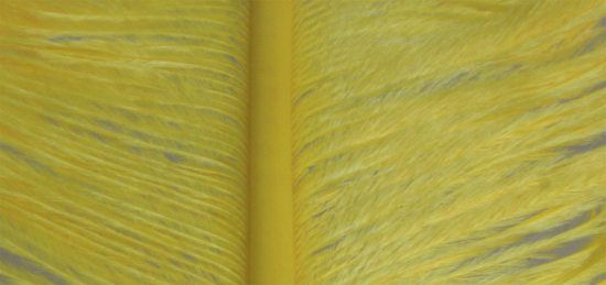 Struts plym - Yellow i gruppen Krok & Småplock / Flugbindning / Flugbindningsmaterial / Fjädrar & Nackar / Övriga Fjädrar hos Fishline (W-OP006)