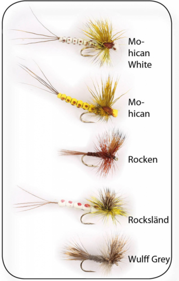 Mayflies 5-pack i gruppen Fiskedrag / Flugor hos Fishline (WFB1014)