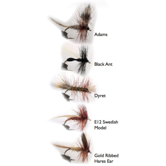 Dry Fly 2 5-pack i gruppen Fiskedrag / Flugor / Torrflugor hos Fishline (WFB124)