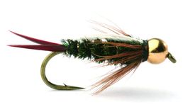 Prince Nymph Gold Bead - 10