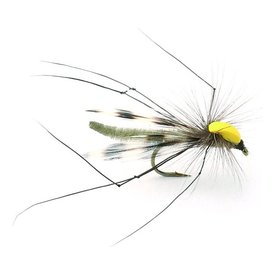 Parachute Longlegs - 10