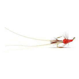 Red Frances Golden Treble #10