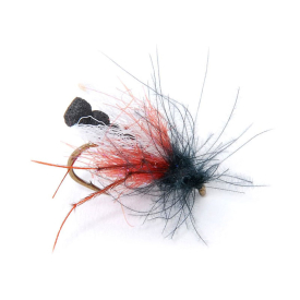 Guideline CDC & Foam Bibio #12