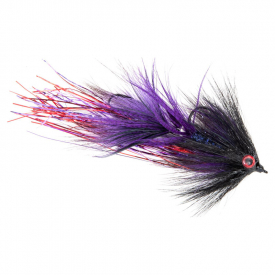 Umpqua Swim Coach Baby Craven Purple/Black #4 X#6