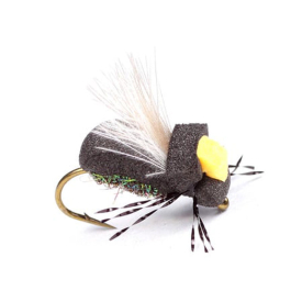 Guideline High-Viz Peacock Beetle