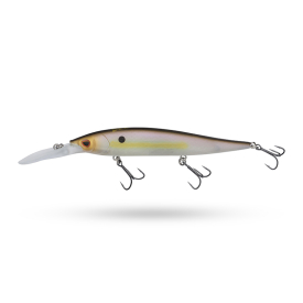 Sexy Shad
