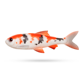 Koi Carp