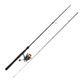IFISH Paragon Combo