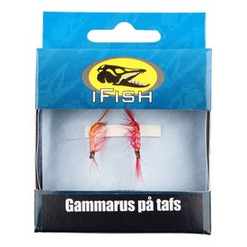 IFISH Gammarus på tafs 2-pack
