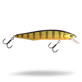 Golden Perch