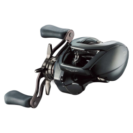 Daiwa 24 Steez SV TW 100
