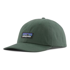 Patagonia P-6 Label Trad Cap CNGR