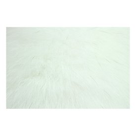 Shadow Fox - White