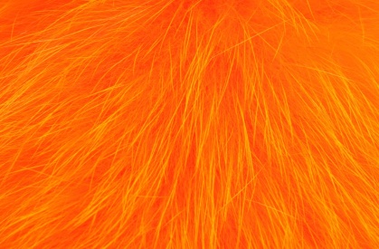Hot Orange