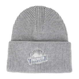 Freewater Pictures Beanie - Grey