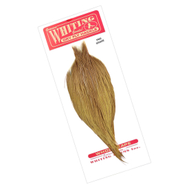 White dyed Golden Olive