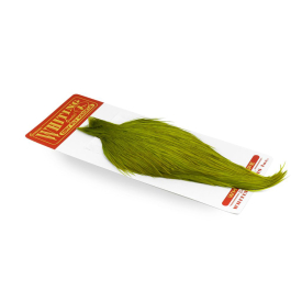 Whiting Whiting Commercial Cape