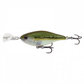 Minnow