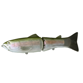 Rainbow Trout