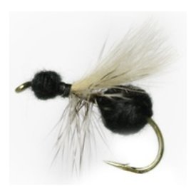 CDC Ant Black # 10