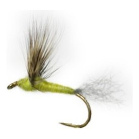 Comparadun Light Olive # 10