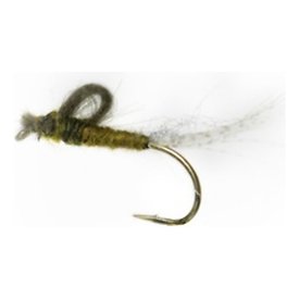 CDC Kläckare # 10