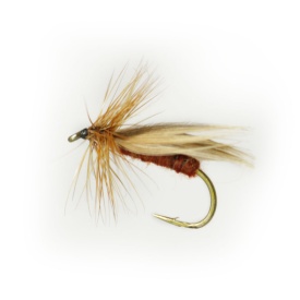 Europa 12 Rusty Brown # 10