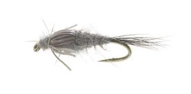 A.P. Muskrat Muskrat TMC 3761 #10