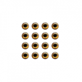 Fish-Skull Living Eyes