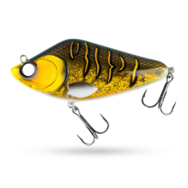 Walleye