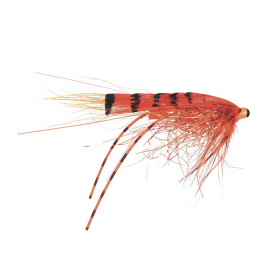 Frödin Micro Series - G.P Special