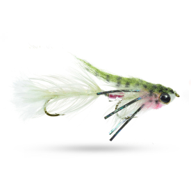 Umpqua Baby Gonga Rainbow #8