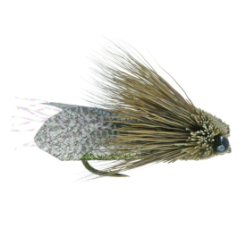 Umpqua Clark's Cicada Olive - #10 