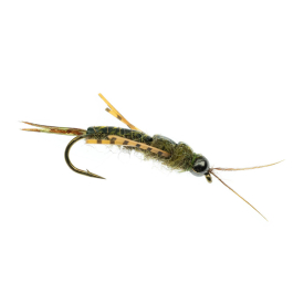 Umpqua Skwala Stone Tungsten Olive