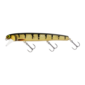3D Amber Perch