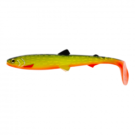 Baltic Pike