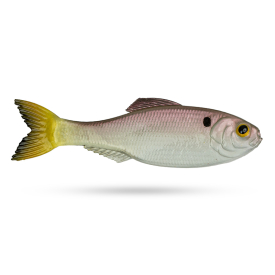 Ghost Pro Shad