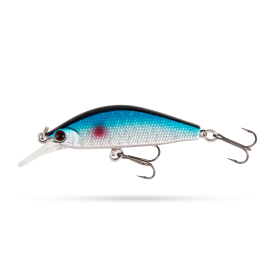 Blue Roach