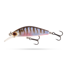 Oikawa Perch
