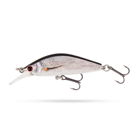 Smelt