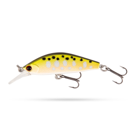 Trout